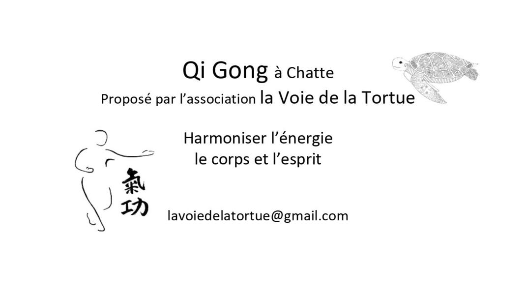 LA VOIE DE LA TORTUE LA VOIE DE LA TORTUE